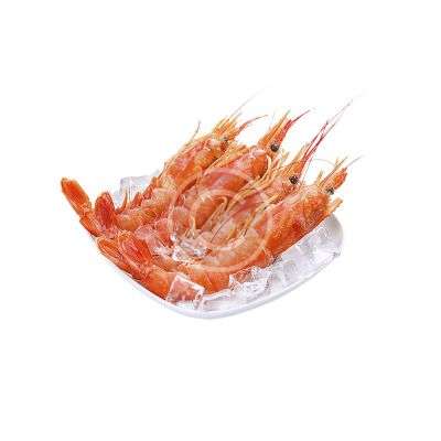 Royal Red Shrimp