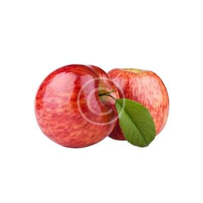 Cortland Apple